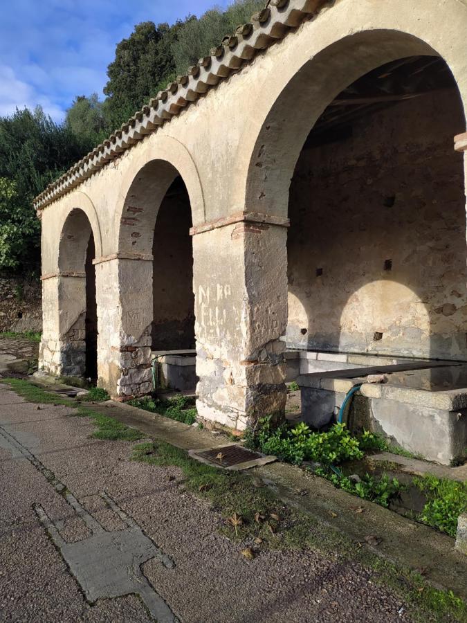 Steddueoro Acomodação com café da manhã Baunei Exterior foto
